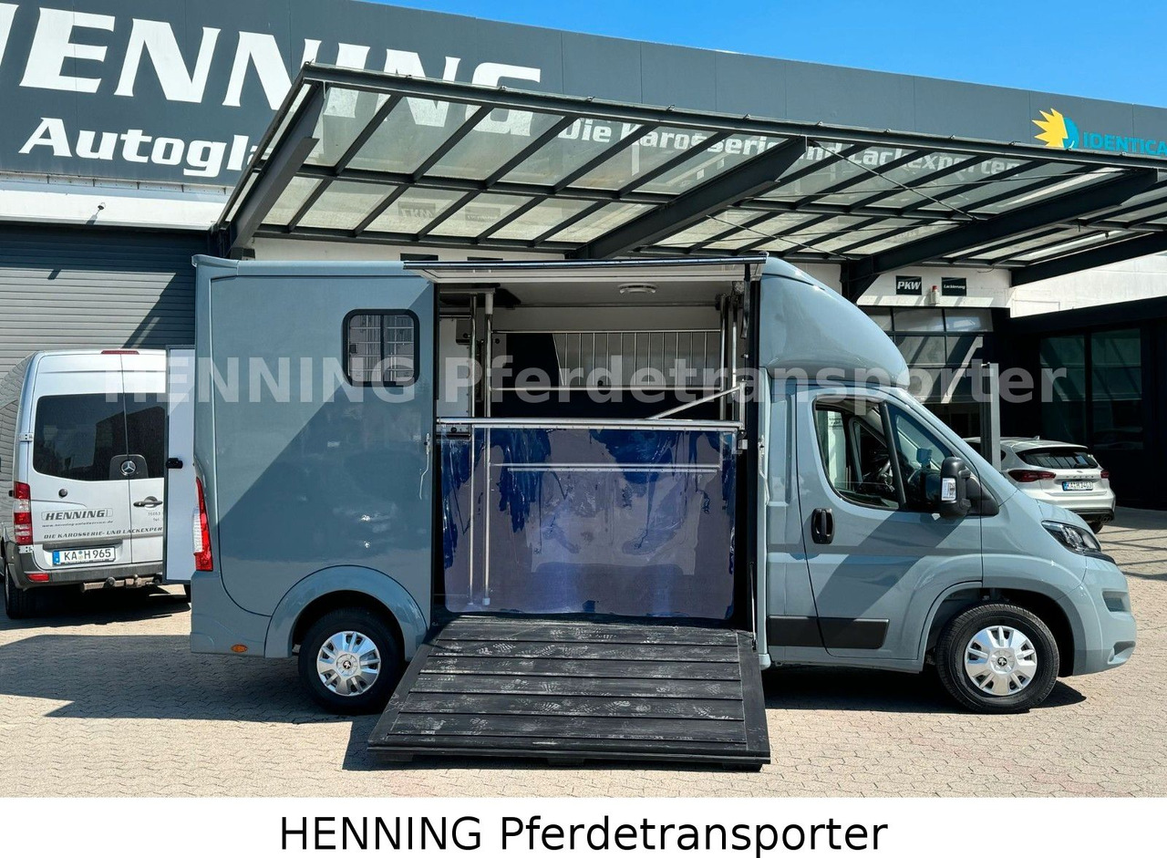 Peugeot Boxer 3-Sitzer *NEUWAGEN* 1000 KG NUTZLAST - Horse truck: picture 4 Peugeot Boxer 3-Sitzer *NEUWAGEN* 1000 KG NUTZLAST - Horse truck: picture 4
