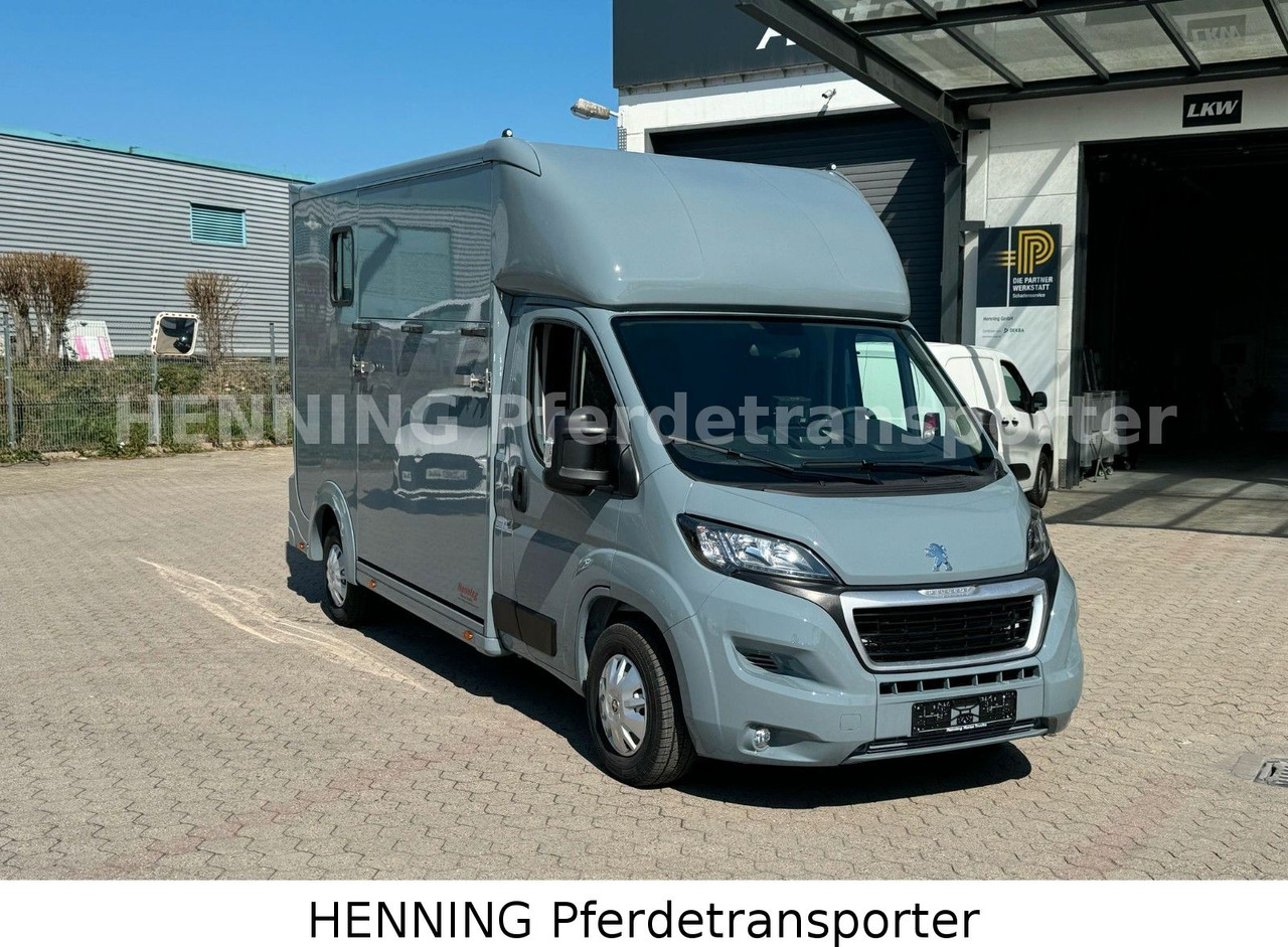 Peugeot Boxer 3-Sitzer *NEUWAGEN* 1000 KG NUTZLAST - Horse truck: picture 2 Peugeot Boxer 3-Sitzer *NEUWAGEN* 1000 KG NUTZLAST - Horse truck: picture 2
