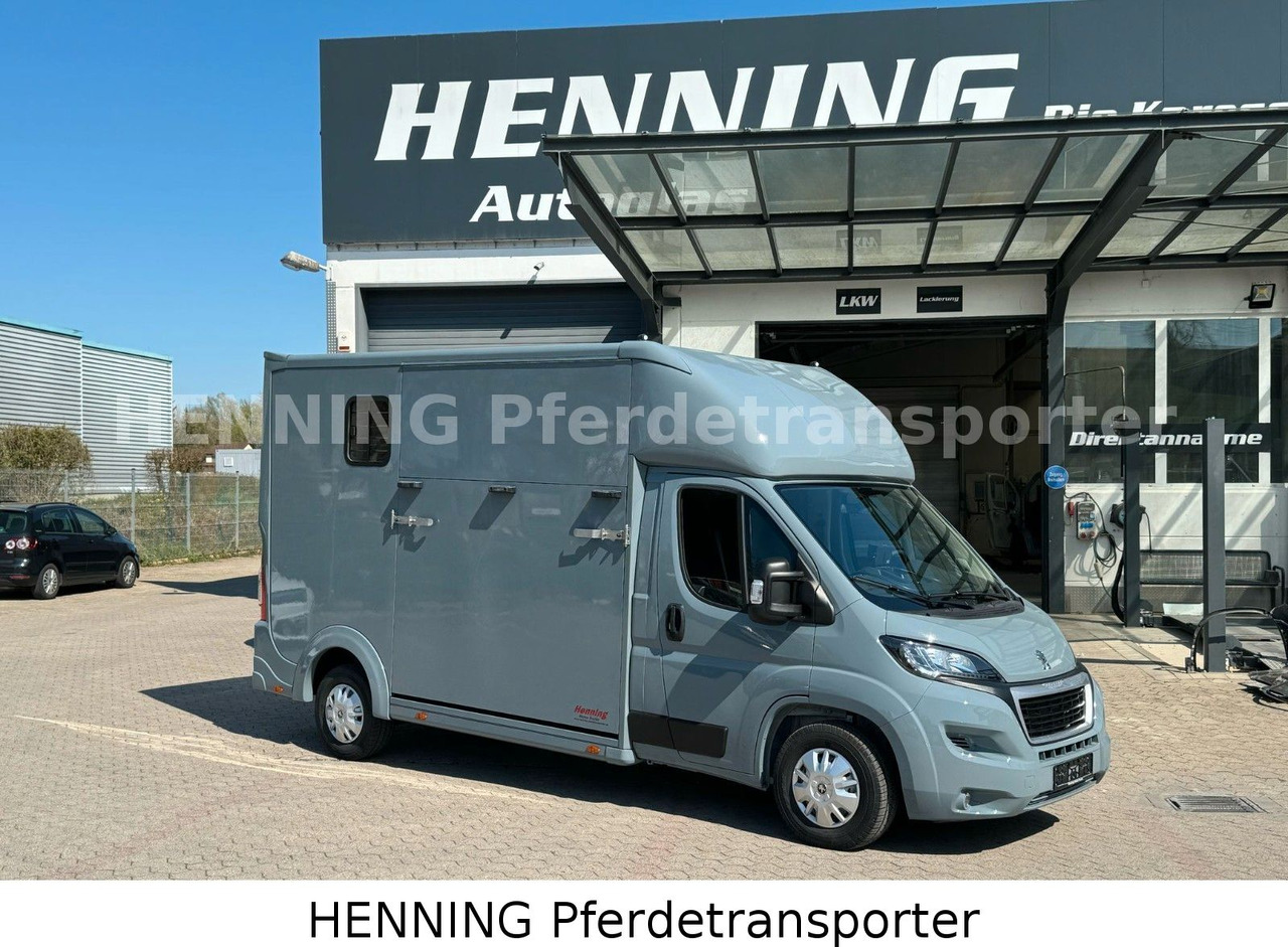 Peugeot Boxer 3-Sitzer *NEUWAGEN* 1000 KG NUTZLAST - Horse truck: picture 1 Peugeot Boxer 3-Sitzer *NEUWAGEN* 1000 KG NUTZLAST - Horse truck: picture 1