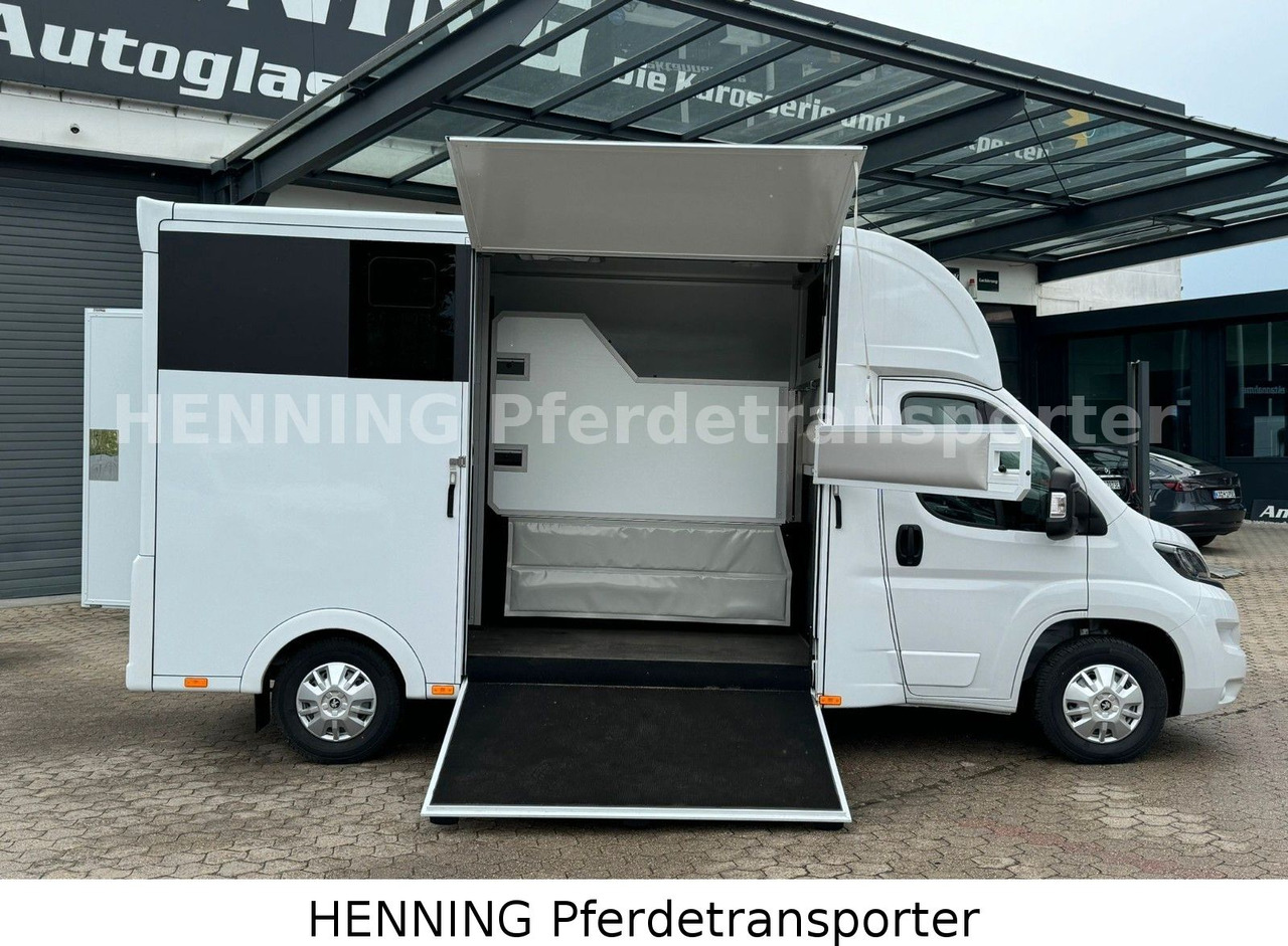 Peugeot Boxer *NEUWAGEN* ca. 1.200kg Nutzlast - Livestock truck: picture 5 Peugeot Boxer *NEUWAGEN* ca. 1.200kg Nutzlast - Livestock truck: picture 5