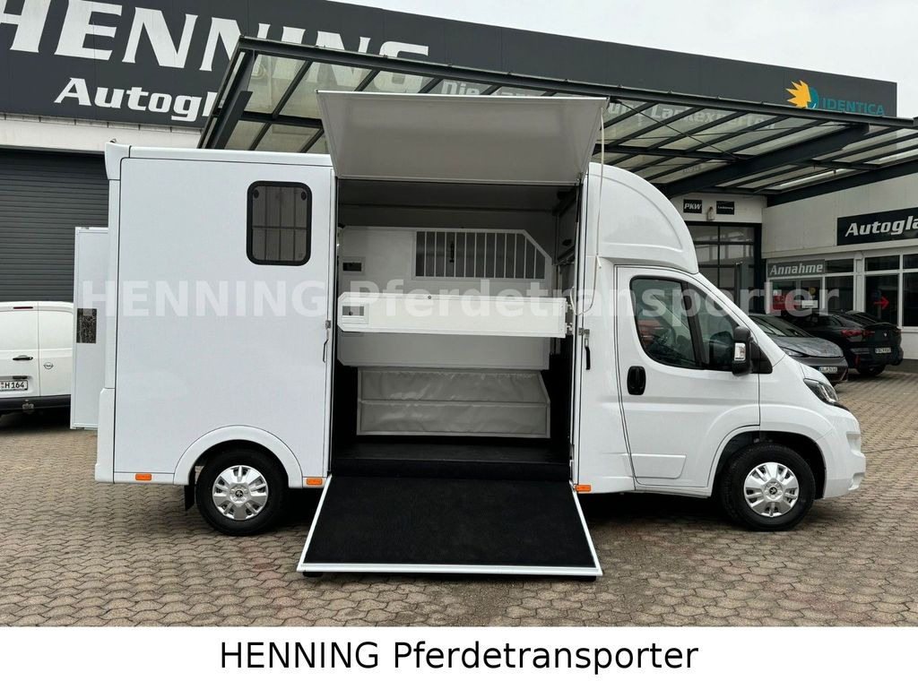 Peugeot Boxer *NEUWAGEN* ca. 1.200kg Nutzlast - Horse truck: picture 5 Peugeot Boxer *NEUWAGEN* ca. 1.200kg Nutzlast - Horse truck: picture 5
