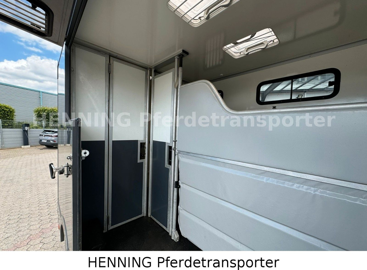 Renault 3-Sitzer - Horse truck, Commercial vehicle: picture 5 Renault 3-Sitzer - Horse truck, Commercial vehicle: picture 5