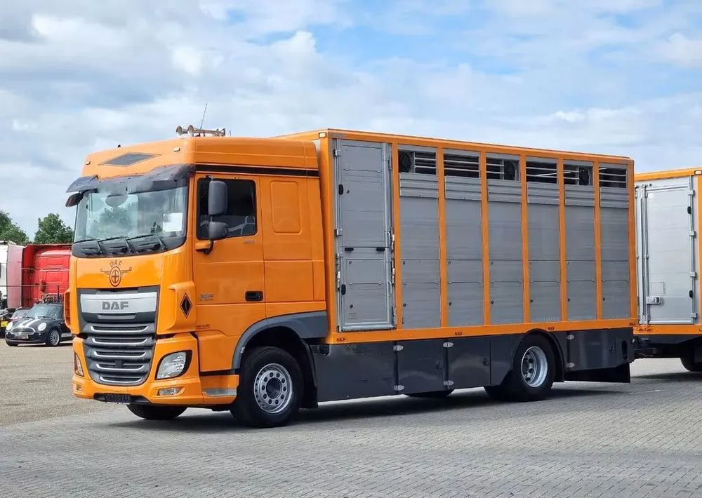 DAF XF 460 4x2 SpaceCab – Menke Livestock | 1 pokład | Euro 6 | 2016 - Livestock truck: picture 2 DAF XF 460 4x2 SpaceCab – Menke Livestock | 1 pokład | Euro 6 | 2016 - Livestock truck: picture 2