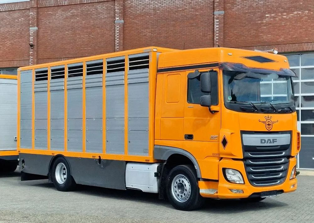DAF XF 460 4x2 SpaceCab – Menke Livestock | 1 pokład | Euro 6 | 2016 - Livestock truck: picture 4 DAF XF 460 4x2 SpaceCab – Menke Livestock | 1 pokład | Euro 6 | 2016 - Livestock truck: picture 4