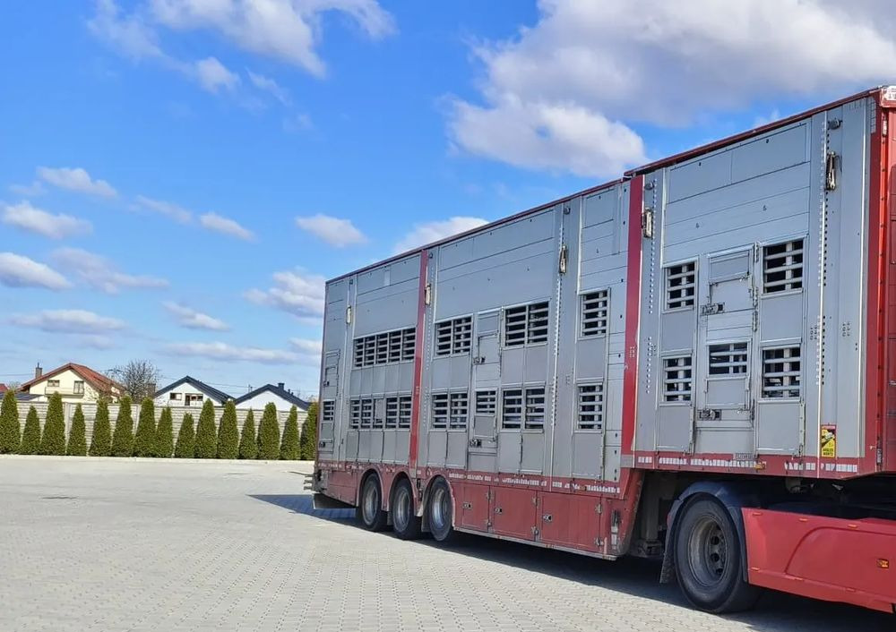 Pezzaioli SBA32/hydrauliczny dach/hydrauliczna rampa/ 3 poziomy/ 2xbydło -3xtrzoda/wentylatory/poidła/sterowanie pilotem - Livestock semi-trailer: picture 1 Pezzaioli SBA32/hydrauliczny dach/hydrauliczna rampa/ 3 poziomy/ 2xbydło -3xtrzoda/wentylatory/poidła/sterowanie pilotem - Livestock semi-trailer: picture 1