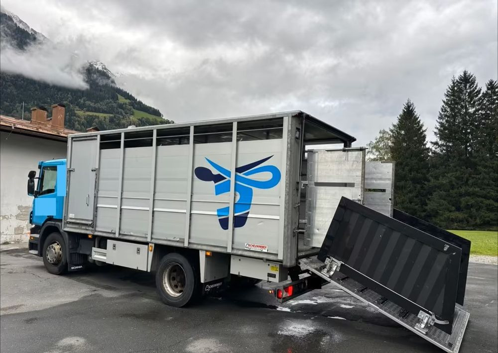 Scania P280 4x2 – Pojazd do przewozu zwierząt VIEHFAHRZEUG / jednopoziomowy – 171.000 km!! – Euro 5 - Livestock truck: picture 5 Scania P280 4x2 – Pojazd do przewozu zwierząt VIEHFAHRZEUG / jednopoziomowy – 171.000 km!! – Euro 5 - Livestock truck: picture 5