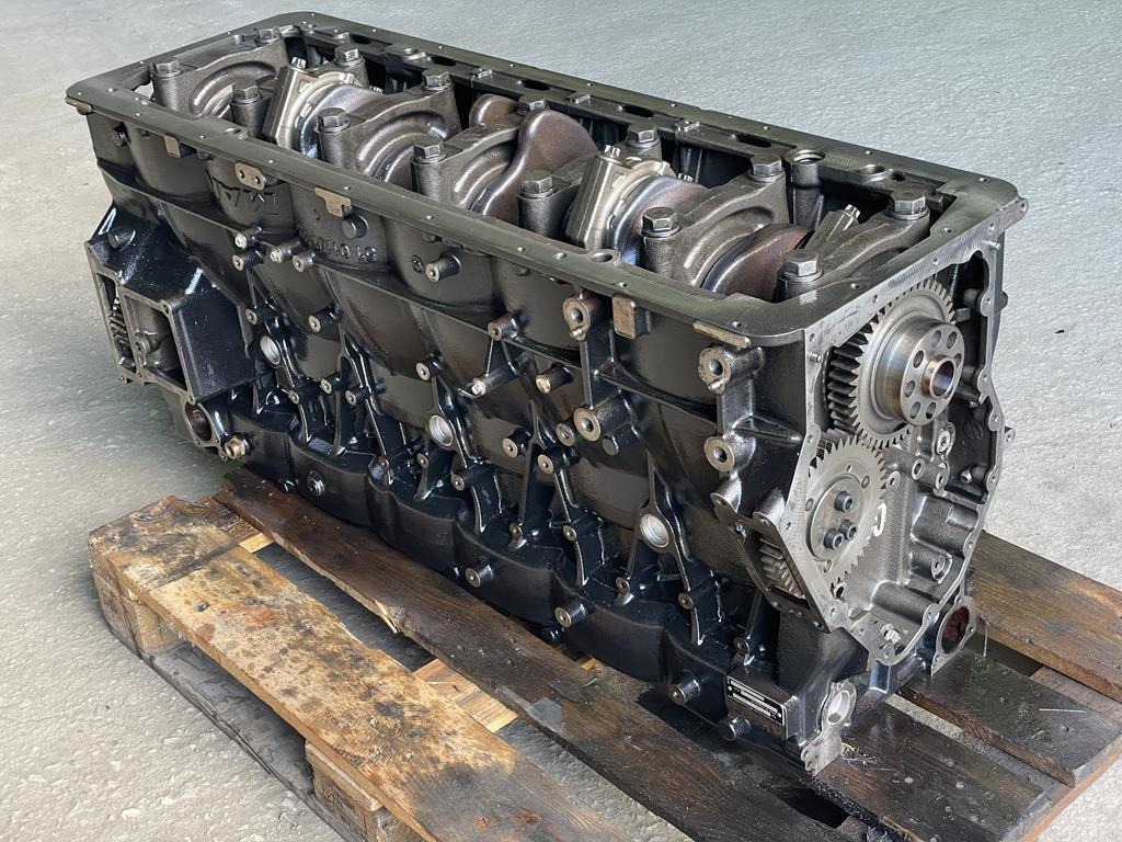 MAN TGX D3876 LF01 - EURO 6 - Cylinder block for Truck: picture 5 MAN TGX D3876 LF01 - EURO 6 - Cylinder block for Truck: picture 5