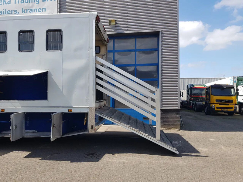 DAF 95.350 Paardenwagen met zitverblijf 7 paarden 7 horses - Horse truck: picture 5 DAF 95.350 Paardenwagen met zitverblijf 7 paarden 7 horses - Horse truck: picture 5
