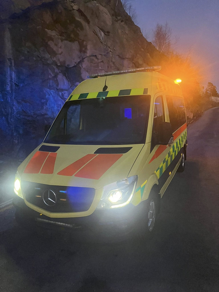 Ambulance MERCEDES-BENZ Sprinter 319 - Light AMBULANCE / shvydka dopomo: picture 36