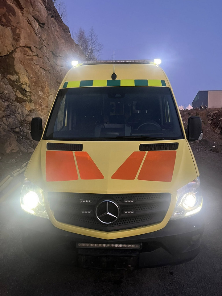 Ambulance MERCEDES-BENZ Sprinter 319 - Light AMBULANCE / shvydka dopomo: picture 31