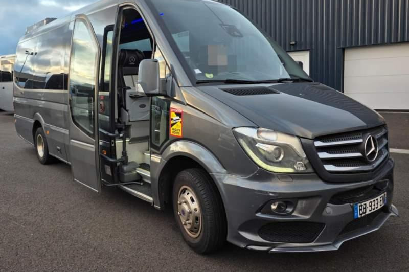 Mercedes-Benz SPRINTER 516 BLUETEC / SPROWADZONY / 86 000 KM - Minibus, People carrier: picture 1 Mercedes-Benz SPRINTER 516 BLUETEC / SPROWADZONY / 86 000 KM - Minibus, People carrier: picture 1