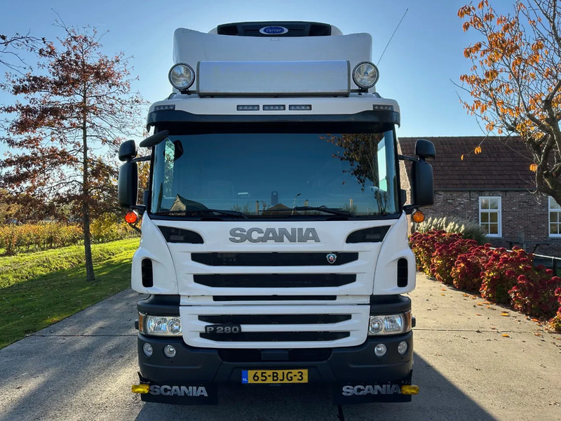Scania P280 / NL TRUCK / EURO 6 / FULL AIR / CARRIER SUPRA 1250 / TOPCONDITION / LIFT+DOORS - Refrigerated truck: picture 2 Scania P280 / NL TRUCK / EURO 6 / FULL AIR / CARRIER SUPRA 1250 / TOPCONDITION / LIFT+DOORS - Refrigerated truck: picture 2