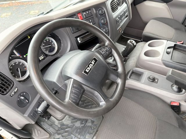 Curtain side truck DAF LF 250 FA: picture 9