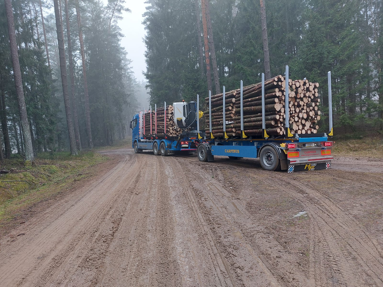 Hydrofast Przyczepa 2 osiowa do drewna stosowego HFP2/2-axle timber trailer HFP2 - Timber trailer: picture 3 Hydrofast Przyczepa 2 osiowa do drewna stosowego HFP2/2-axle timber trailer HFP2 - Timber trailer: picture 3