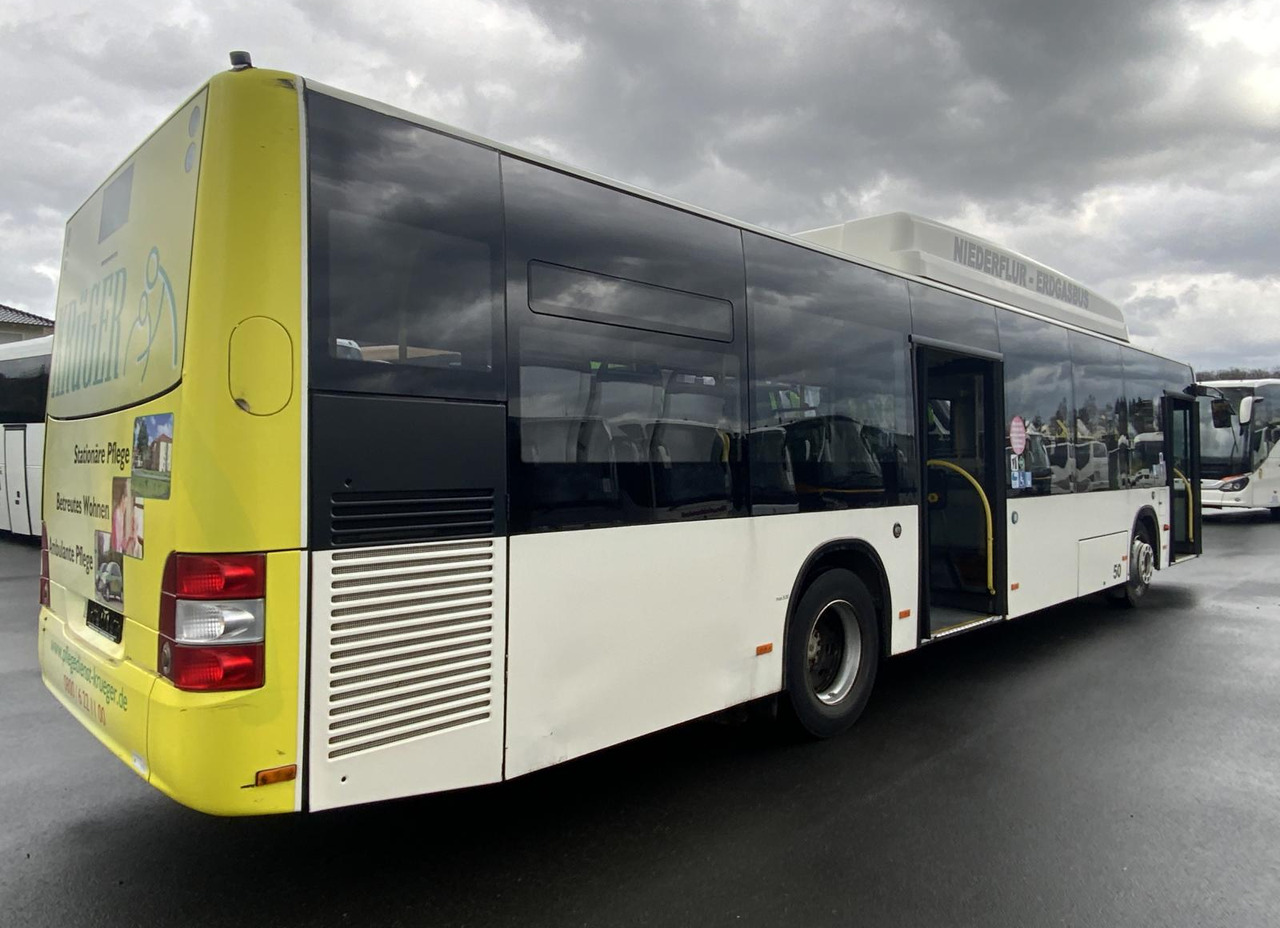 MAN A 21 Lion´s City - City bus: picture 4 MAN A 21 Lion´s City - City bus: picture 4