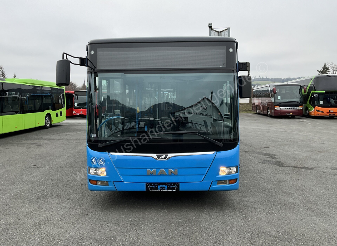 City bus MAN A 21 Lions City: picture 7