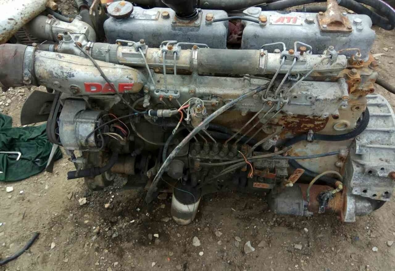 DAF ATI WS259 E2   DAF - Engine for Truck: picture 1 DAF ATI WS259 E2   DAF - Engine for Truck: picture 1