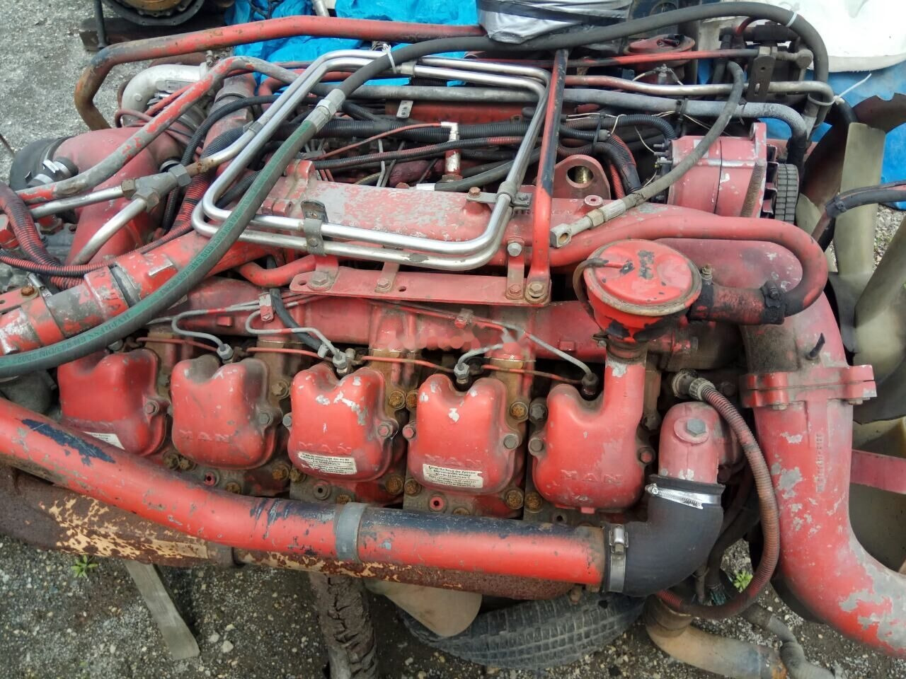 MAN D2840 LF01 MAN F 2000 - Engine for Truck: picture 1 MAN D2840 LF01 MAN F 2000 - Engine for Truck: picture 1