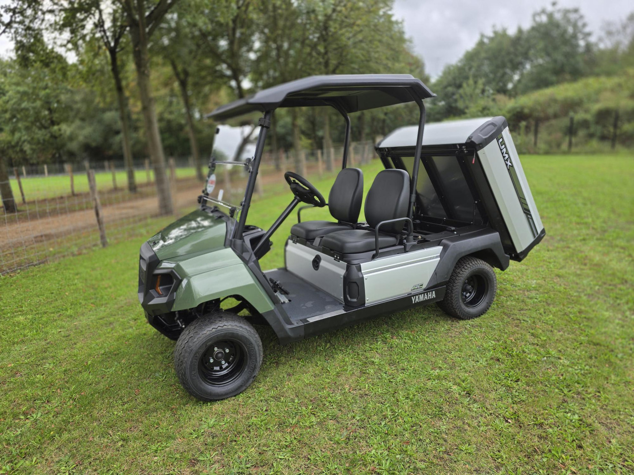 New Golf cart YAMAHA umx: picture 9