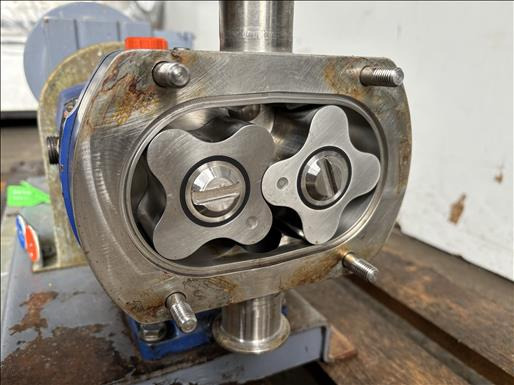 Alfa Laval SX2-013H Lobe pump - Food processing equipment: picture 5 Alfa Laval SX2-013H Lobe pump - Food processing equipment: picture 5