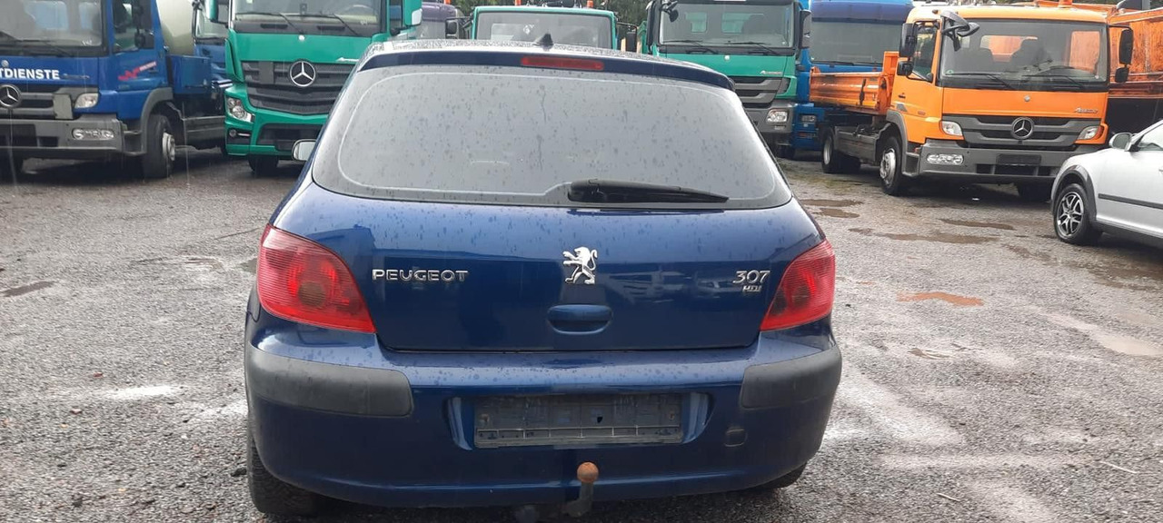 Peugeot 307 Grand Filou - Saloon car: picture 4 Peugeot 307 Grand Filou - Saloon car: picture 4