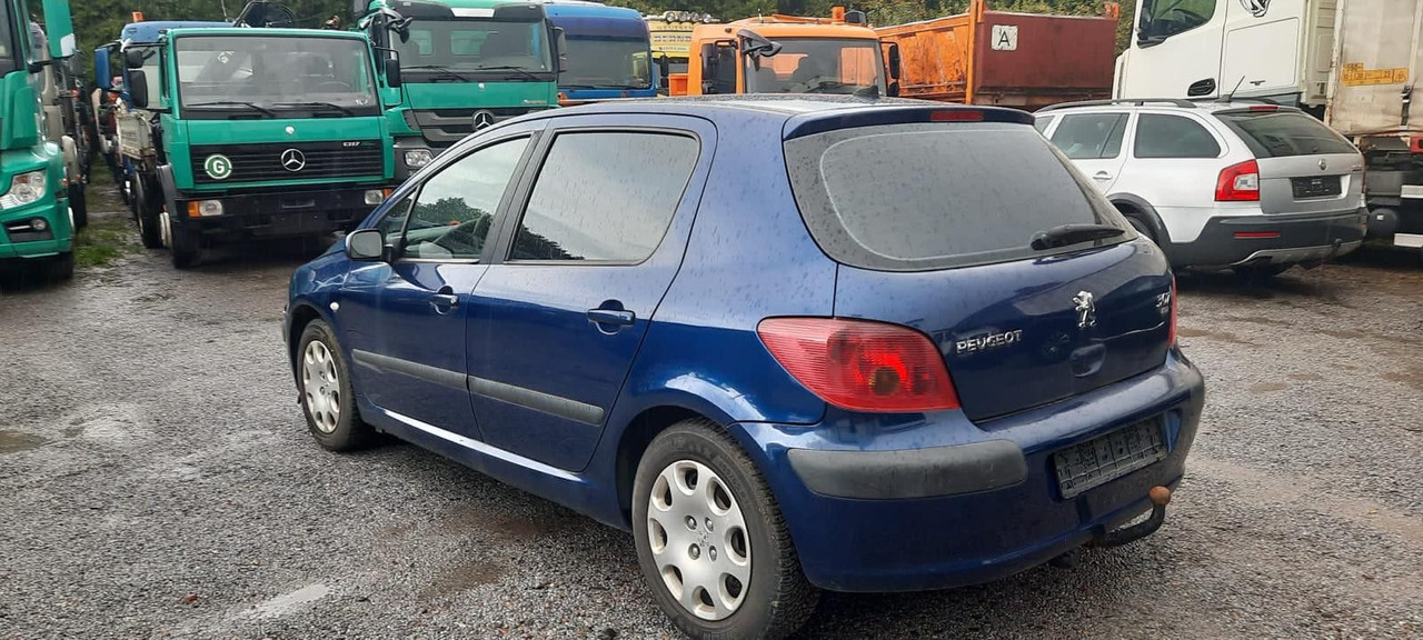 Peugeot 307 Grand Filou - Saloon car: picture 1 Peugeot 307 Grand Filou - Saloon car: picture 1