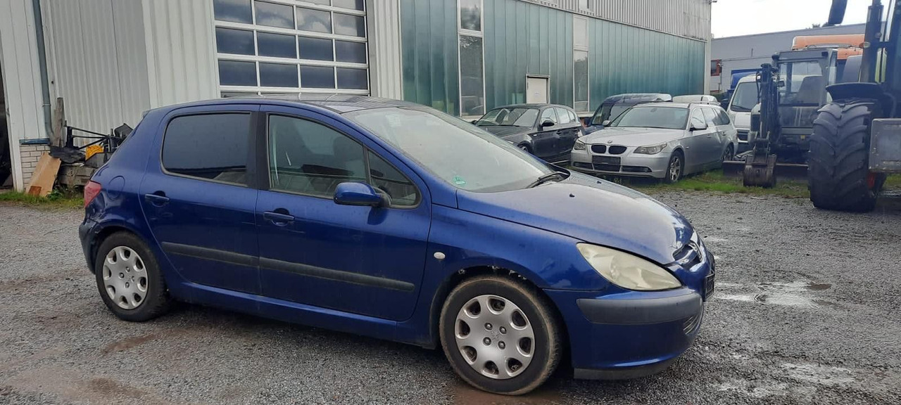 Peugeot 307 Grand Filou - Saloon car: picture 2 Peugeot 307 Grand Filou - Saloon car: picture 2