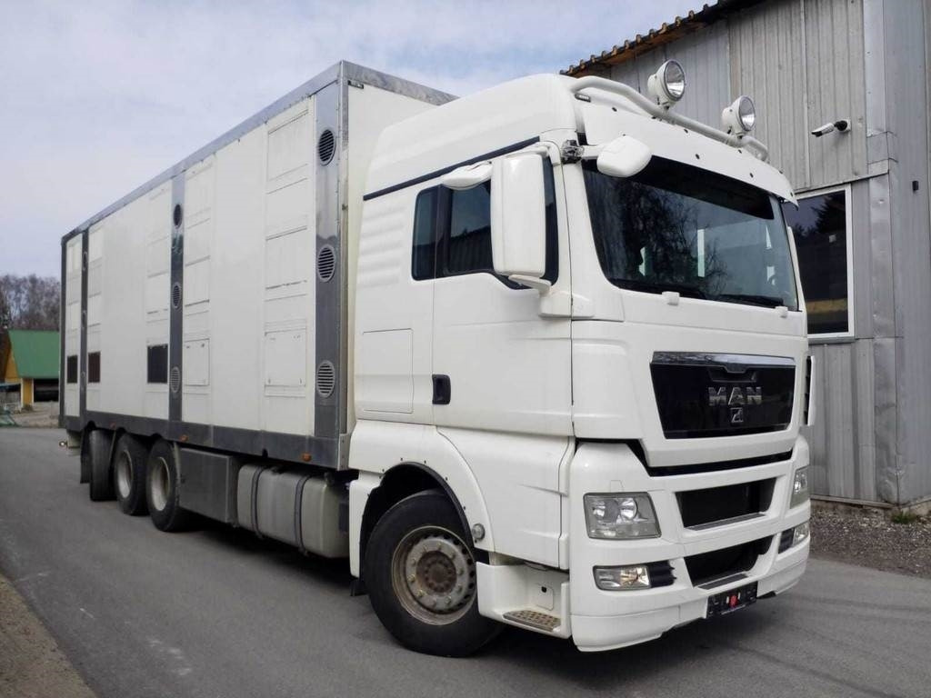 MAN TGX 35.540 8X4 TRIDEM ANIMAL - Livestock truck: picture 4 MAN TGX 35.540 8X4 TRIDEM ANIMAL - Livestock truck: picture 4