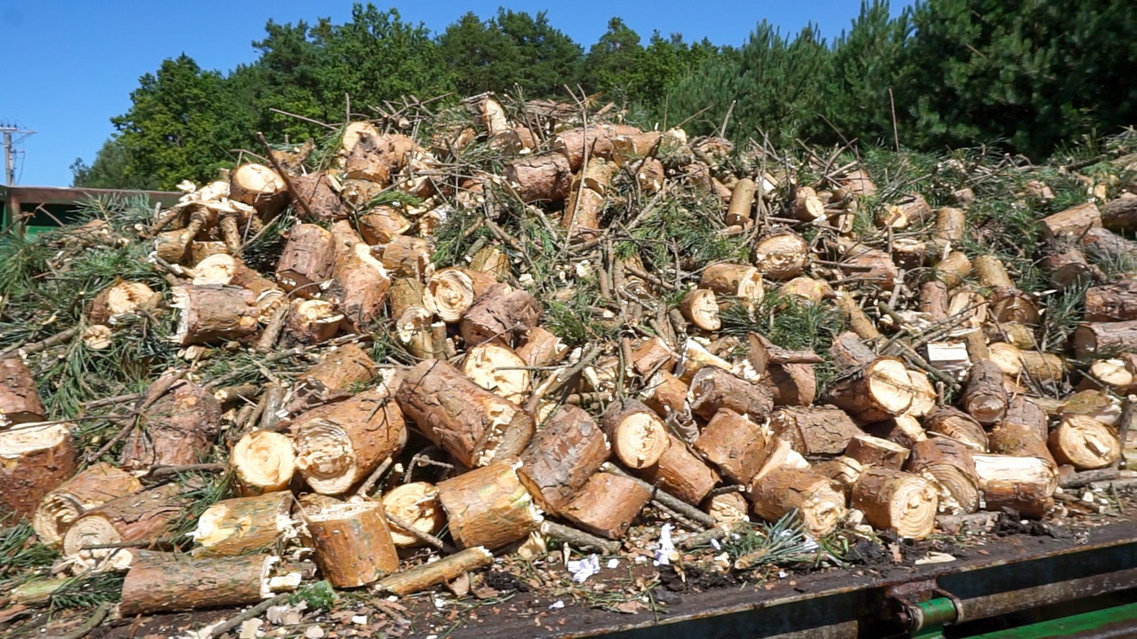 REMET RĘBAK WOM MODEL R-120 + TAŚMOCIĄG 2,3M - Wood chipper: picture 3 REMET RĘBAK WOM MODEL R-120 + TAŚMOCIĄG 2,3M - Wood chipper: picture 3