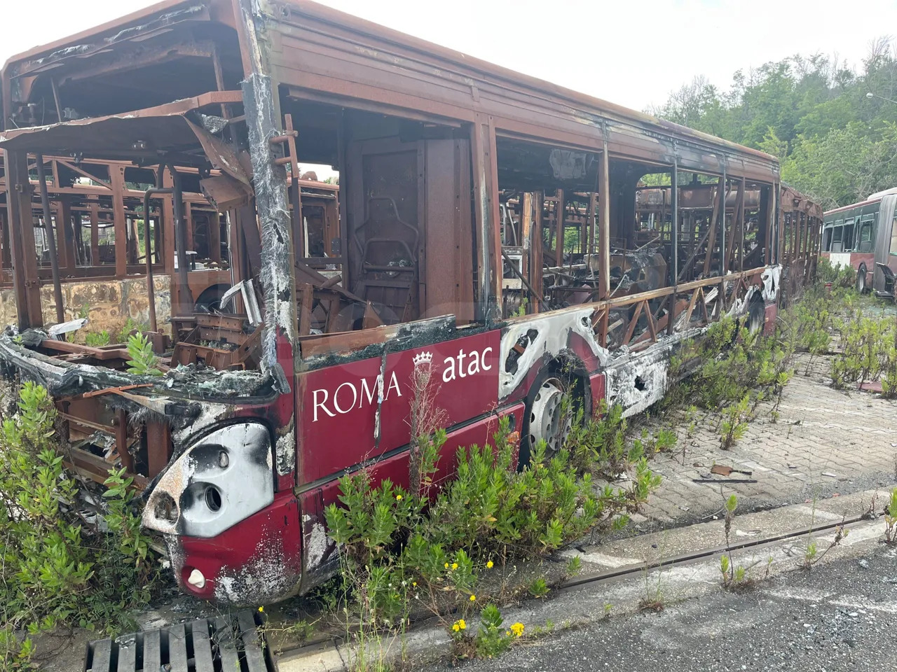 Bundle di 7 mezzi Iveco - Citelis Iveco - Citelis Iveco - Citelis Iveco - Citelis Iveco - Citelis Iveco - Citelis Iveco - Citelis - City bus: picture 2 Bundle di 7 mezzi Iveco - Citelis Iveco - Citelis Iveco - Citelis Iveco - Citelis Iveco - Citelis Iveco - Citelis Iveco - Citelis - City bus: picture 2