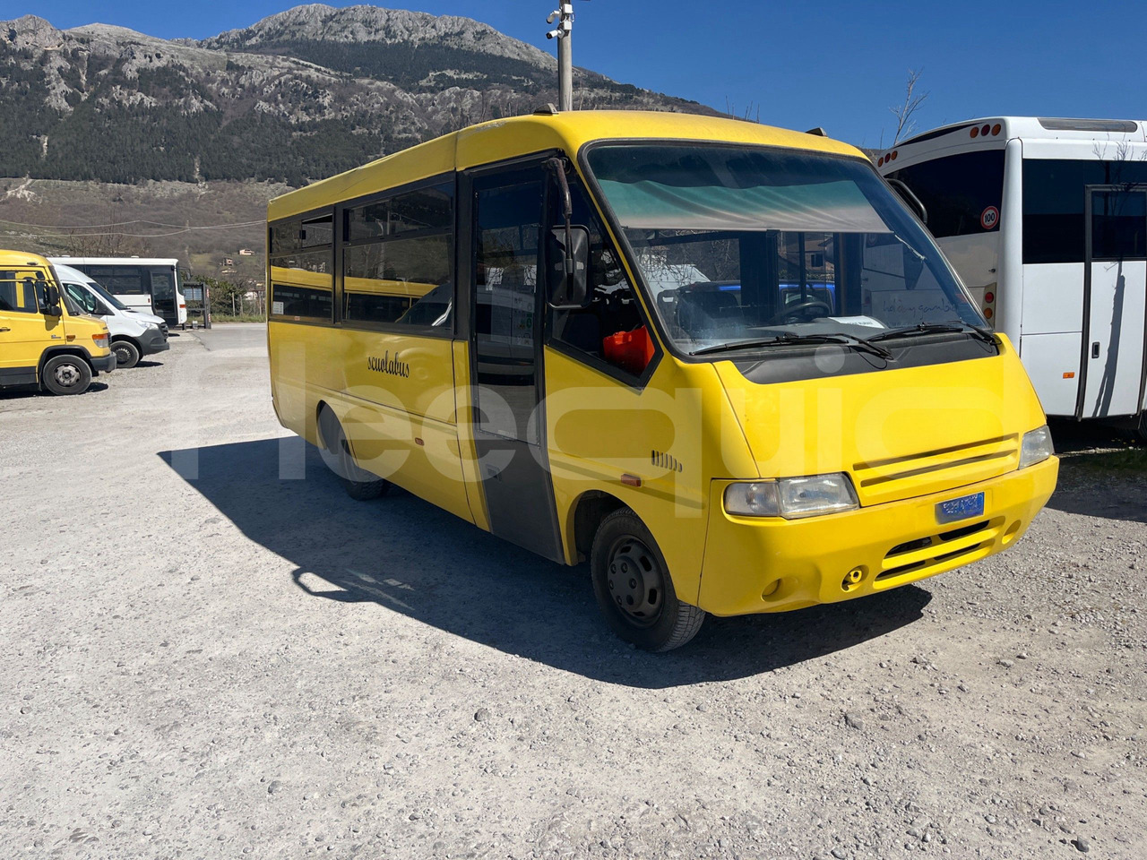 Iveco Cacciamali - School bus: picture 1 Iveco Cacciamali - School bus: picture 1