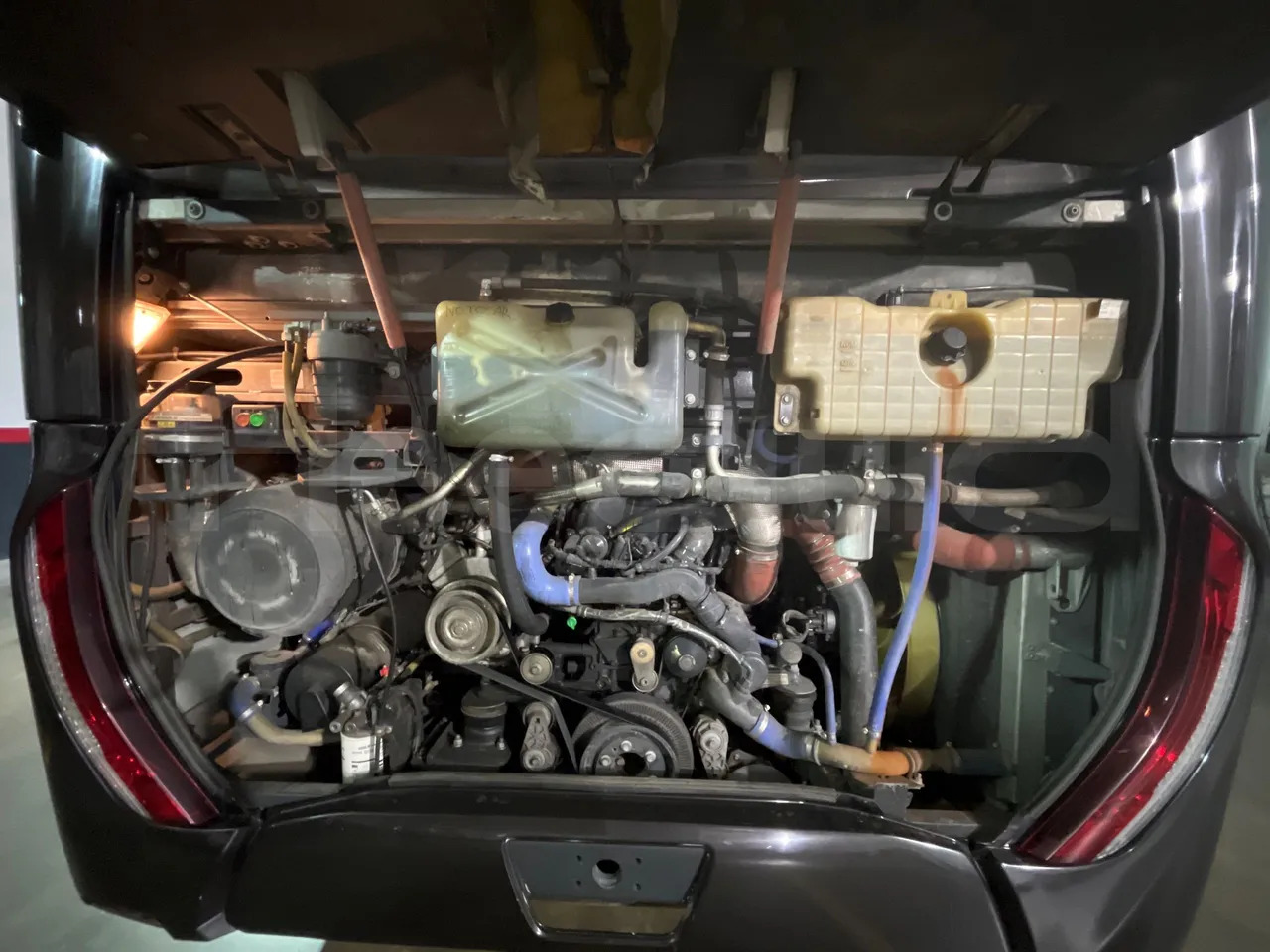 Leasing of Iveco Magelys Iveco Magelys: picture 20 Leasing of Iveco Magelys Iveco Magelys: picture 20