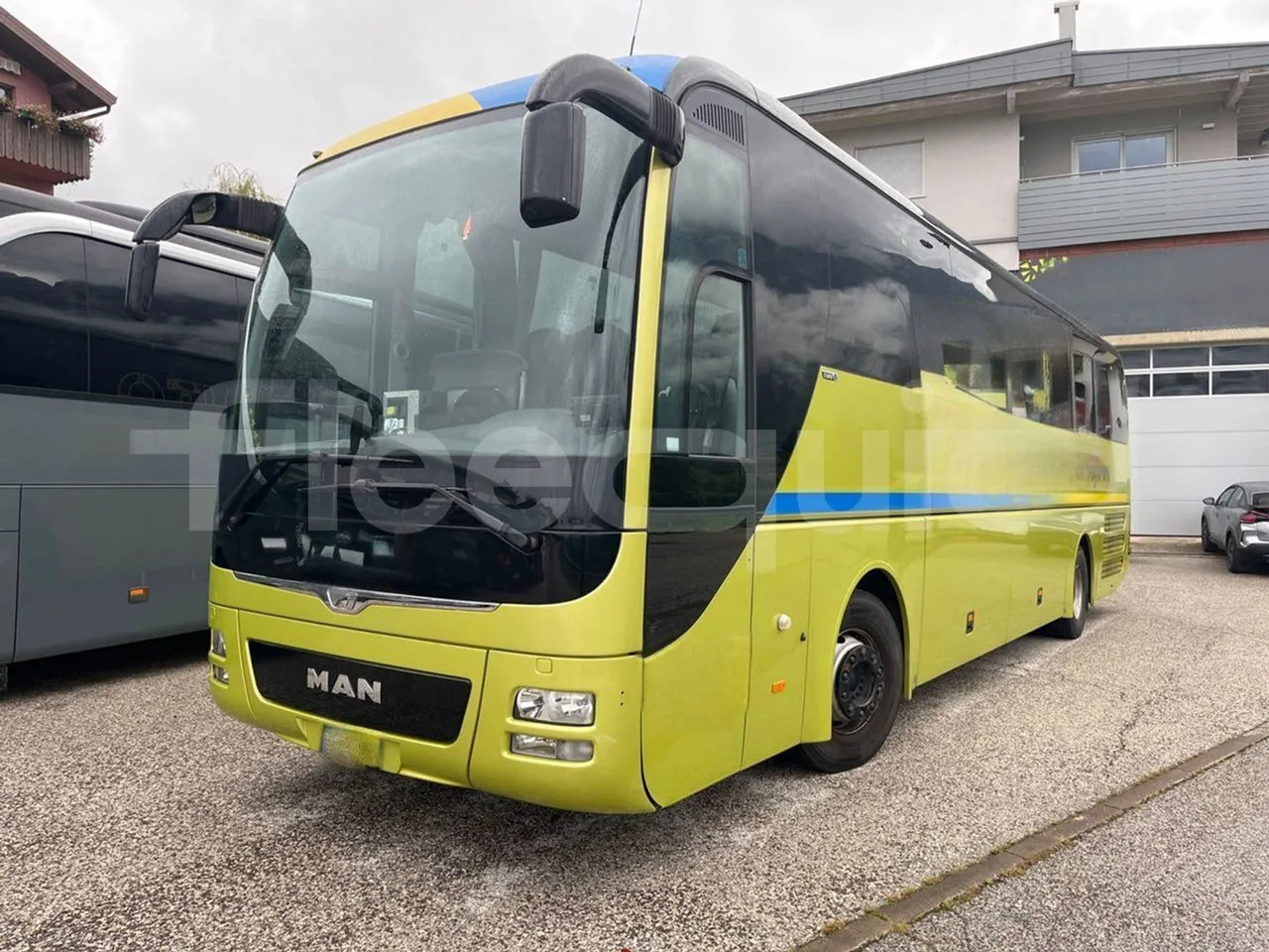 Man Lion's Coach - Coach: picture 4 Man Lion's Coach - Coach: picture 4