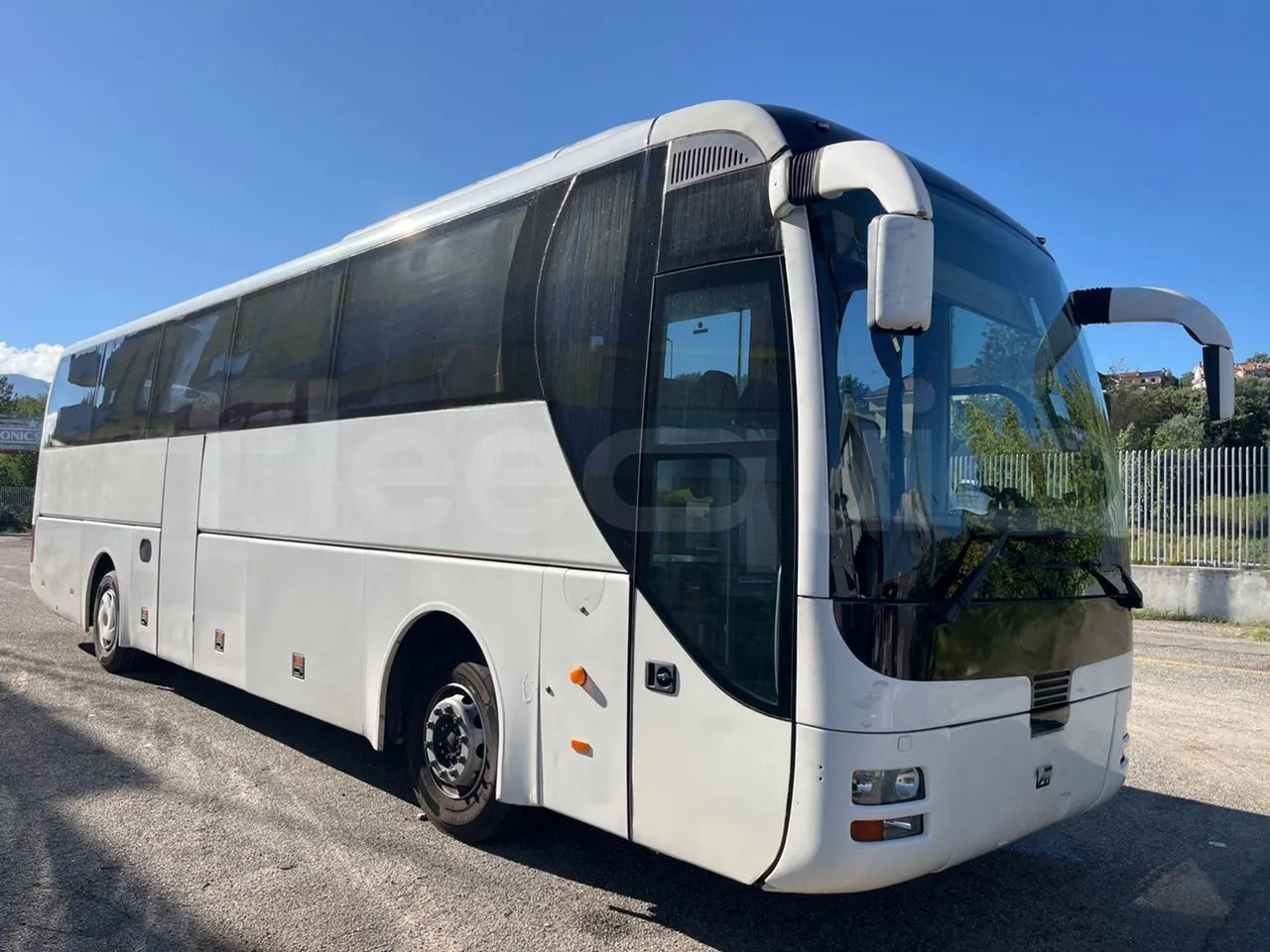 Man Lion's Coach - Coach: picture 1 Man Lion's Coach - Coach: picture 1