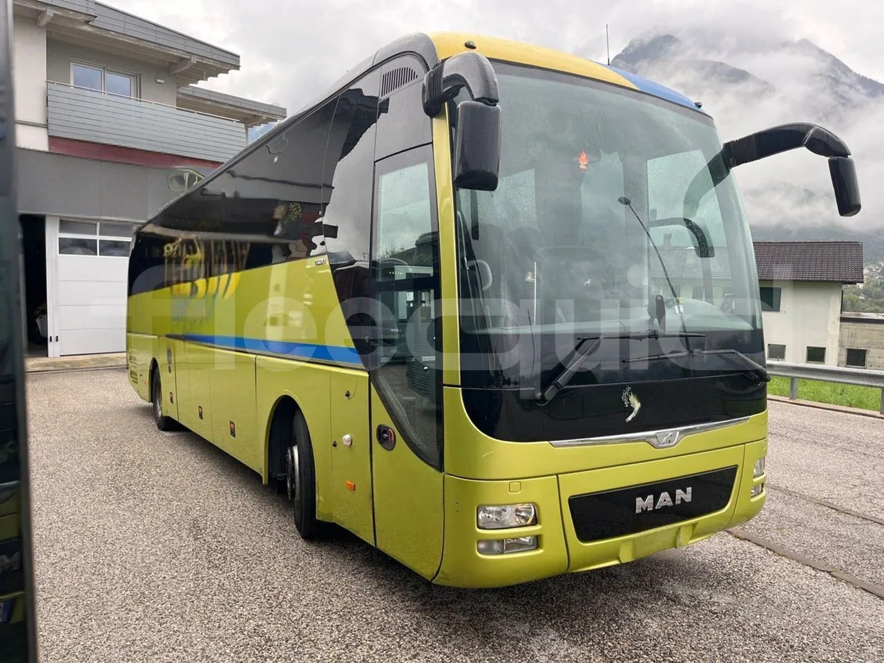Man Lion's Coach - Coach: picture 1 Man Lion's Coach - Coach: picture 1