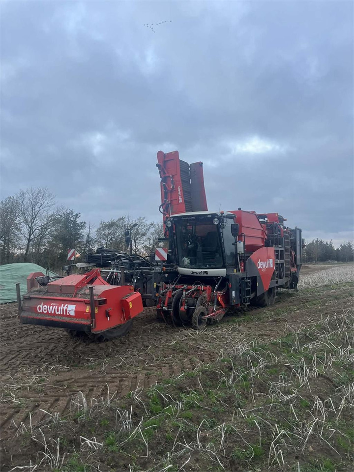 Dewulf RQA3060 - Potato harvester: picture 2 Dewulf RQA3060 - Potato harvester: picture 2