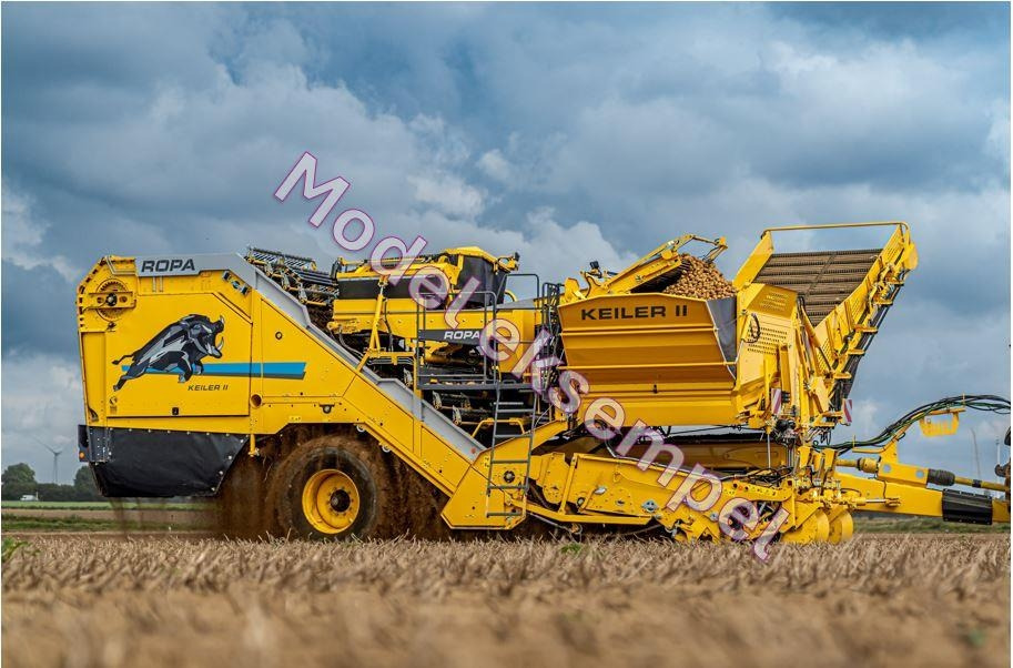 Ropa KEILER II L WD RK22 - Potato harvester: picture 1 Ropa KEILER II L WD RK22 - Potato harvester: picture 1