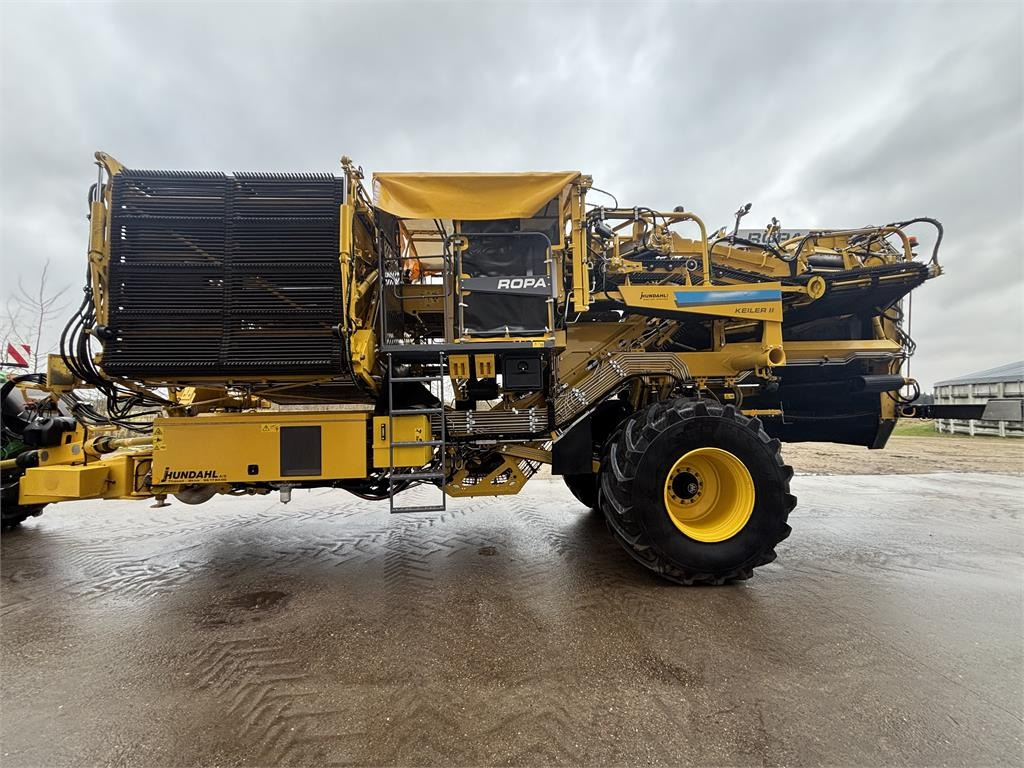 Ropa KEILER II L WD RK22 - Potato harvester: picture 5 Ropa KEILER II L WD RK22 - Potato harvester: picture 5
