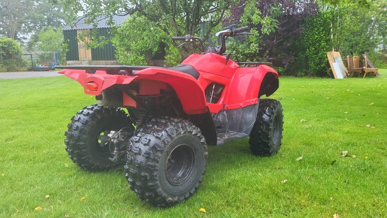 Yamaha Grizzly 300 - ATV/ Quad: picture 4 Yamaha Grizzly 300 - ATV/ Quad: picture 4