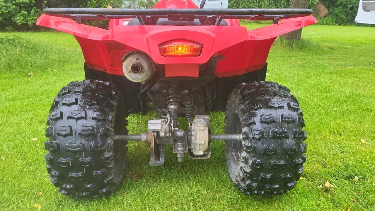 Yamaha Grizzly 300 - ATV/ Quad: picture 5 Yamaha Grizzly 300 - ATV/ Quad: picture 5