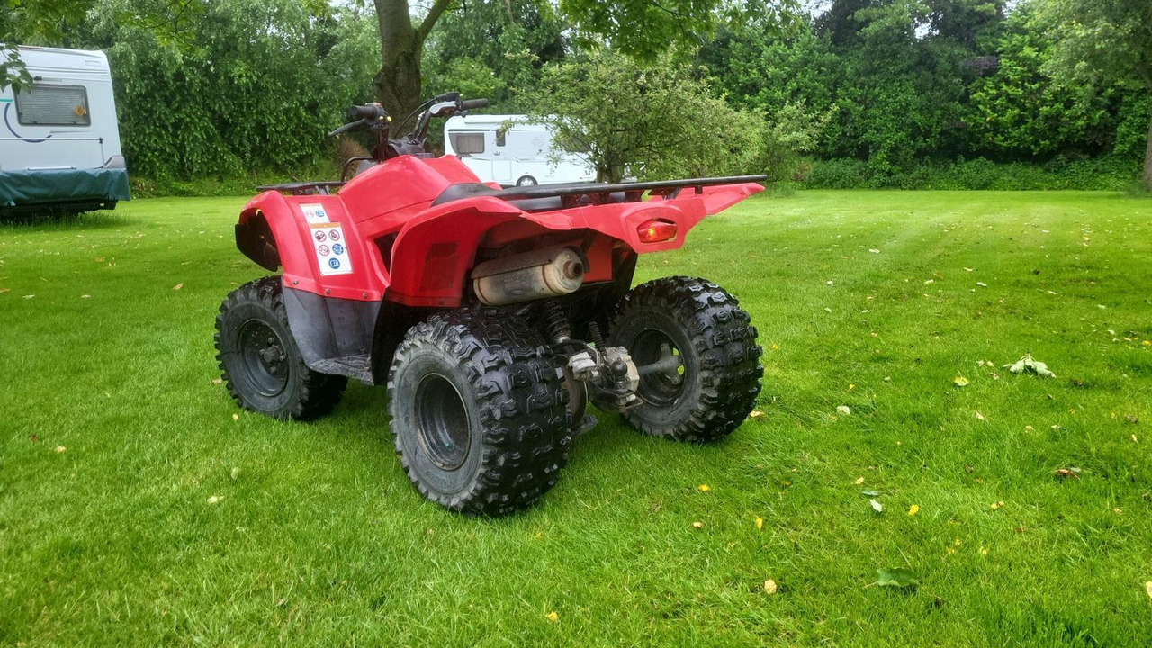 Yamaha Grizzly 300 - ATV/ Quad: picture 3 Yamaha Grizzly 300 - ATV/ Quad: picture 3