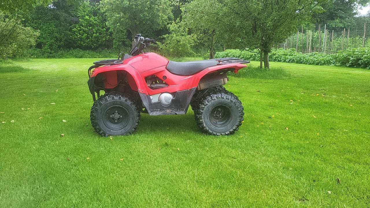 Yamaha Grizzly 300 - ATV/ Quad: picture 2 Yamaha Grizzly 300 - ATV/ Quad: picture 2