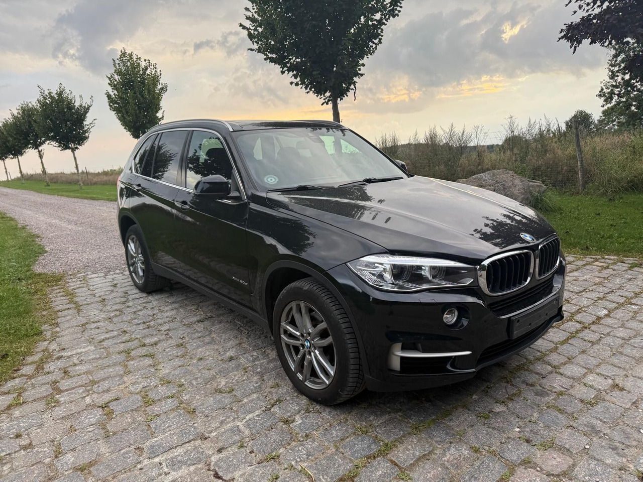 BMW X5 Baureihe X5 xDrive 30 d *21 000€ netto - SUV: picture 1 BMW X5 Baureihe X5 xDrive 30 d *21 000€ netto - SUV: picture 1
