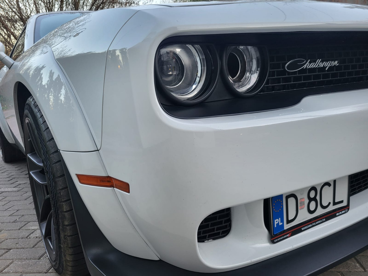 Dodge Challenger - Car: picture 2 Dodge Challenger - Car: picture 2