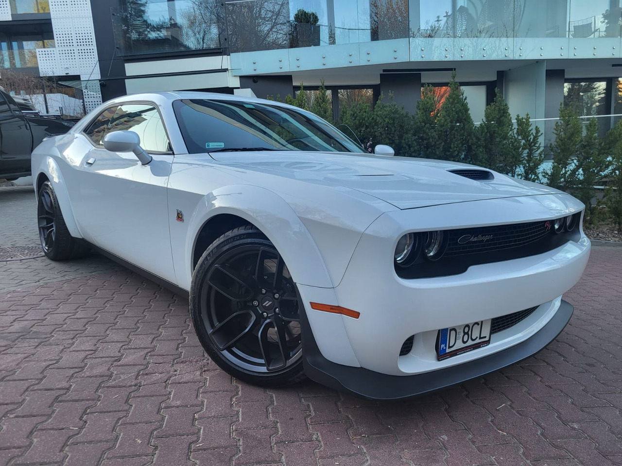 Dodge Challenger - Car: picture 1 Dodge Challenger - Car: picture 1