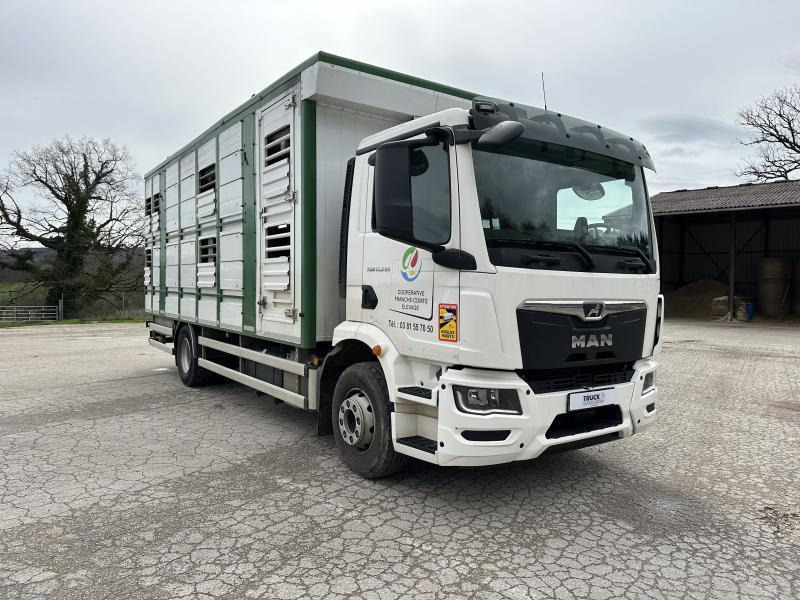MAN M 90 15.290 TGM - Livestock truck: picture 2 MAN M 90 15.290 TGM - Livestock truck: picture 2