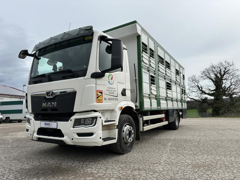 MAN M 90 15.290 TGM - Livestock truck: picture 3 MAN M 90 15.290 TGM - Livestock truck: picture 3
