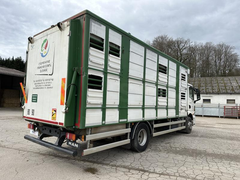 MAN M 90 15.290 TGM - Livestock truck: picture 5 MAN M 90 15.290 TGM - Livestock truck: picture 5