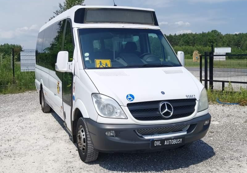Mercedes-Benz Sprinter *klima*webasto* - Suburban bus: picture 2 Mercedes-Benz Sprinter *klima*webasto* - Suburban bus: picture 2