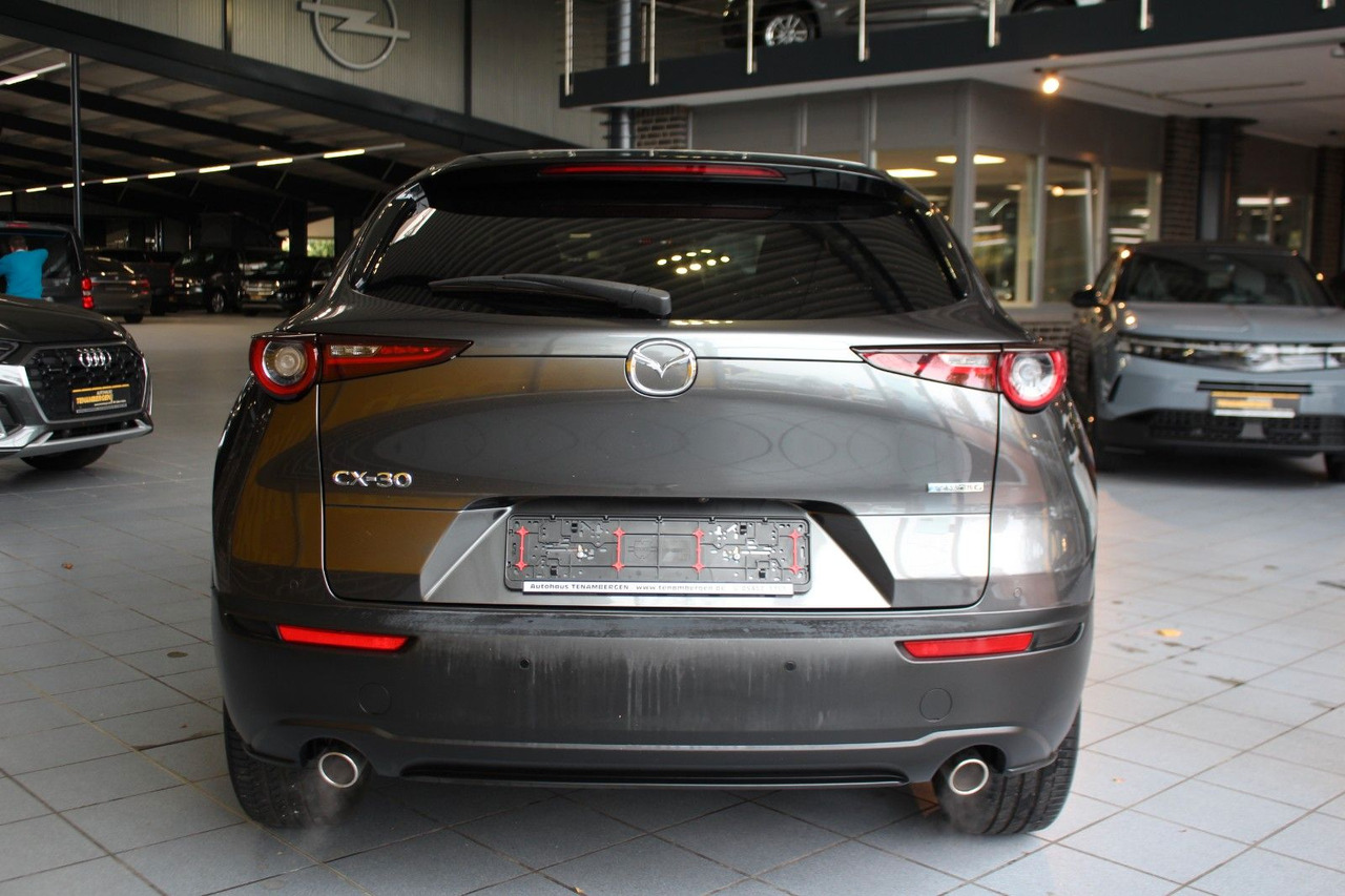 Mazda CX-30 Selection 2WD Matrix Bose HuD Navi SR + WR - SUV: picture 5 Mazda CX-30 Selection 2WD Matrix Bose HuD Navi SR + WR - SUV: picture 5